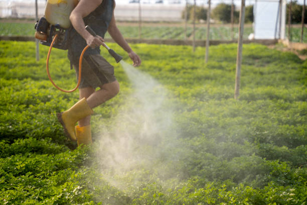Best Commercial Pest Control Services  in Mason Neck, VA